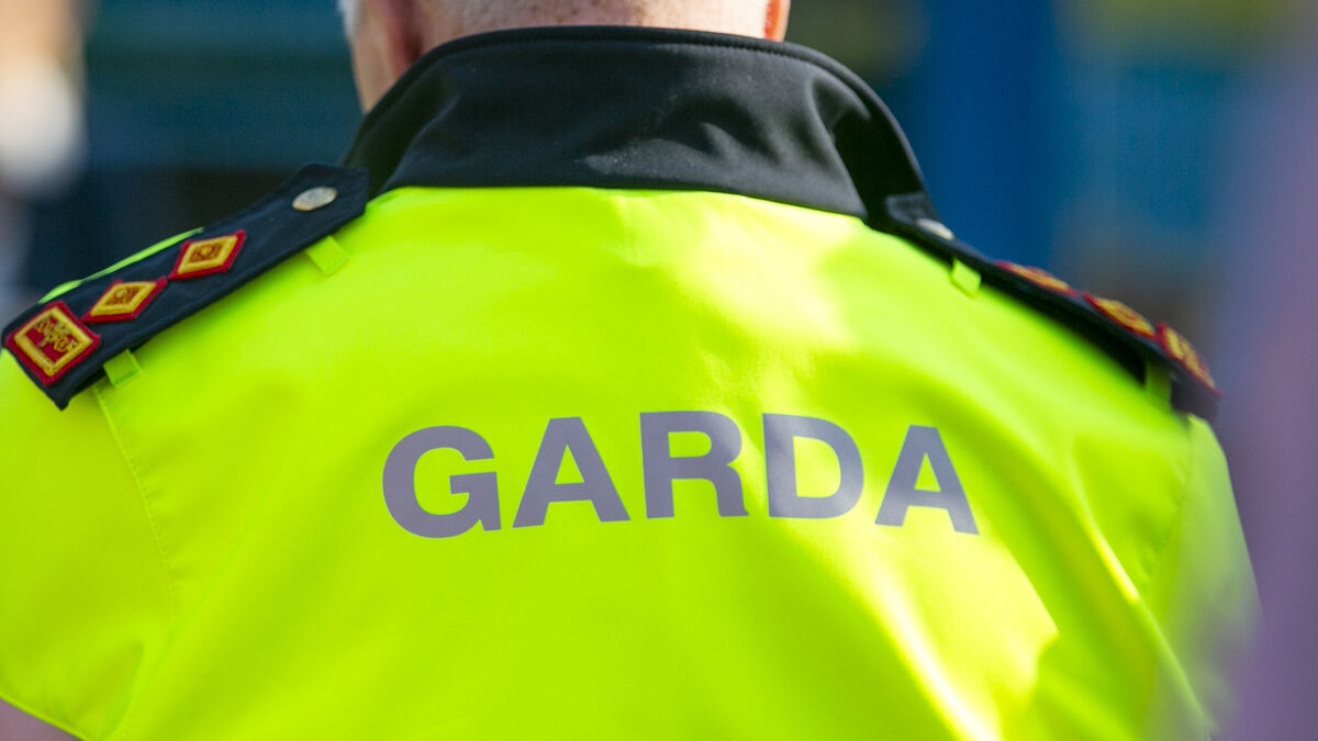 Mayo councillor disputes crime survey findings