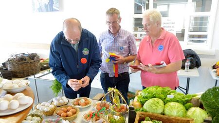 Ballinrobe Show - In Pictures