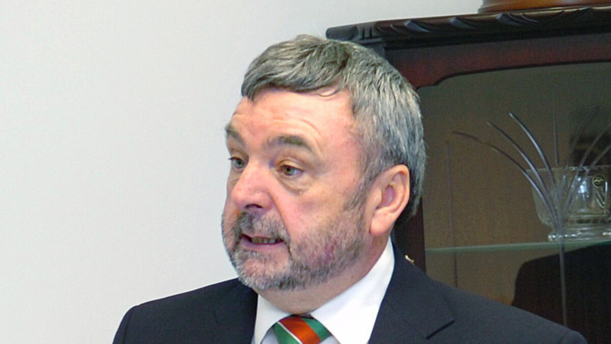 Diaspora urged to back Fleadh campaign