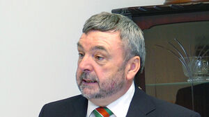 Diaspora urged to back Fleadh campaign