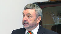 Diaspora urged to back Fleadh campaign