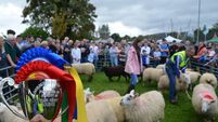 A festival to restore pride and build for the future 