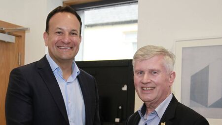 Councillors should not be 'daydreaming' about Dáil