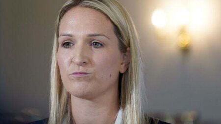 New citizens ‘important reciprocation’ over millions who emigrated – McEntee