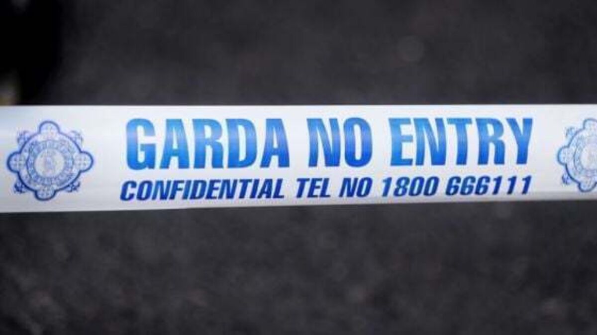 Man in his 50s dies in workplace incident in Dublin