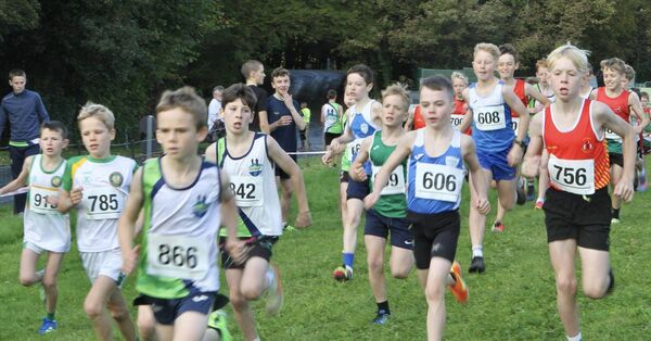 Boys in action at Westport House for the Mayo Cross Country Championships. Boys in action at Westport House for the Mayo Cross Country Championships.