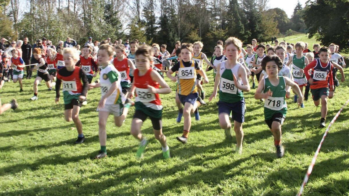 Glorious sun for county championships