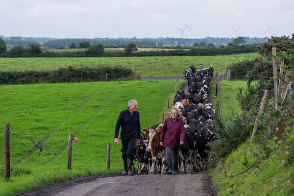 Michael Gordon’s family farm is in Crossmolina, Co. Mayo. 