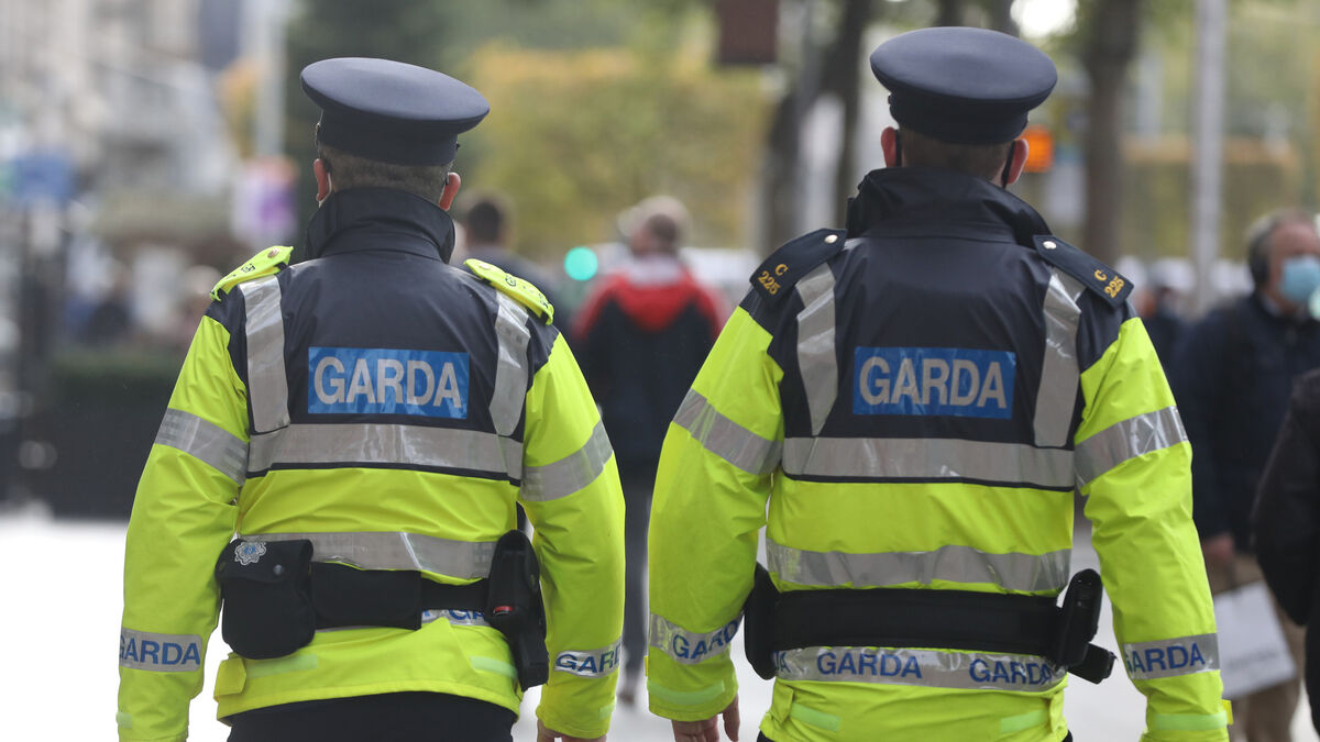 Mayo gets one garda from latest group of graduates