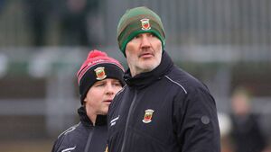 McHale still keen on Mayo job despite board blunder