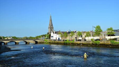 Councillors seek cull of seals in Moy Estuary