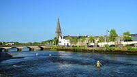 Councillors seek cull of seals in Moy Estuary