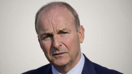 Tánaiste says unionism should have ‘claimed victory’ on Windsor Framework