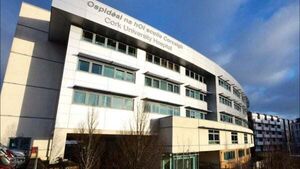 Women hospitalised following dog attack in Waterford may have to get plastic surgery Women hospitalised following dog attack in Waterford may have to get plastic surgery