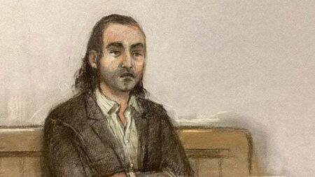 Murder accused told gardaí he 'never saw' Ashling Murphy, trial hears