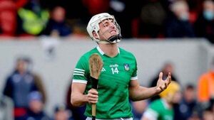 Limerick hurler Pat Ryan wins appeal over perjury conviction Limerick hurler Pat Ryan wins appeal over perjury conviction