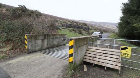 Young man settles case over alleged injuries from crash which killed friend