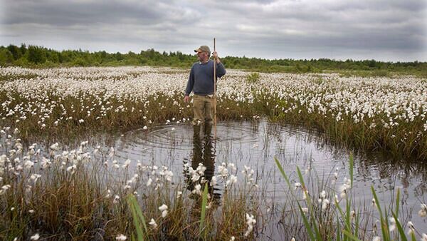 Kiltimagh hosts peatland restoration workshop