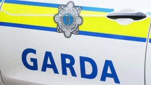 Man arrested after stolen lorry recovered following Garda operation in Cork
