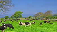 Nitrates derogation changes and its implications