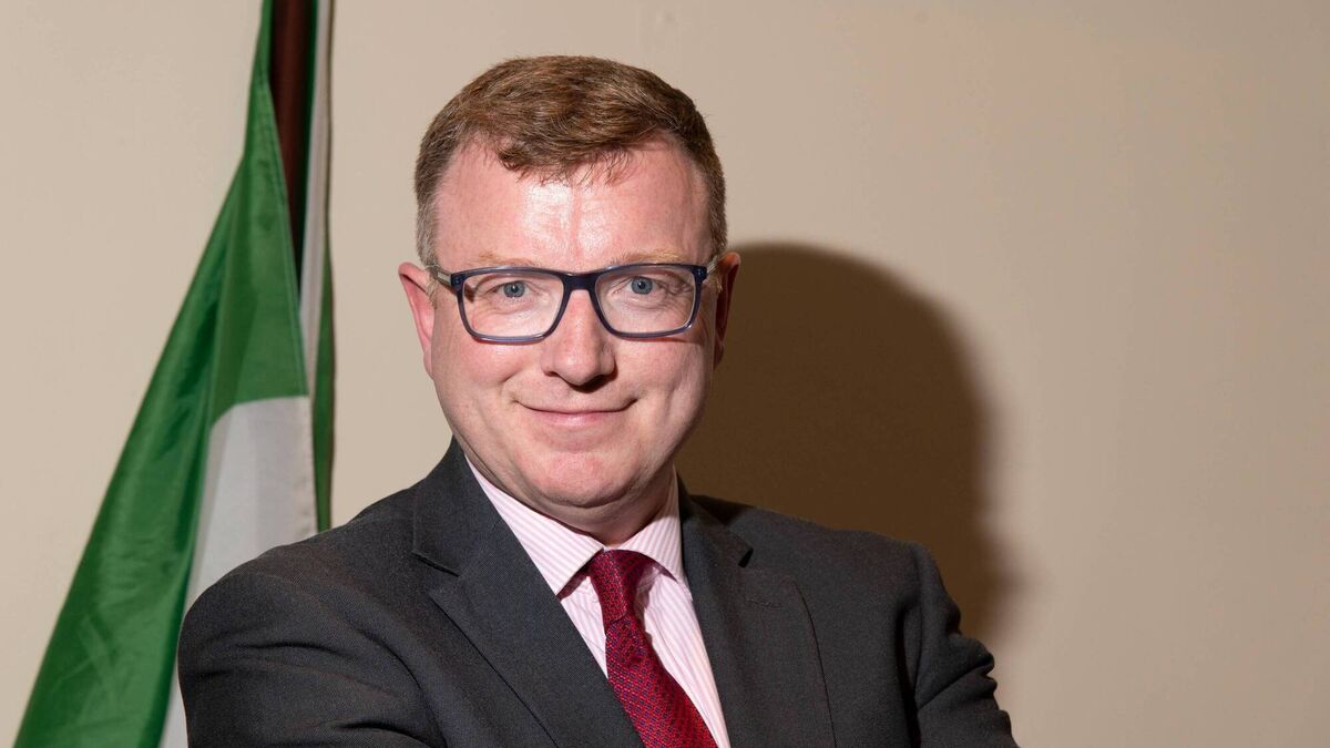 Sinn Féin loses runner in 2024 Mayo elections
