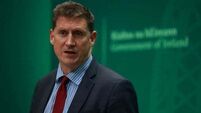Green Party leader Eamon Ryan says dairy farms ‘not the villains’ in climate crisis