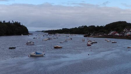 Councillor claims fishing in Ballina is 'finished' if action not taken on seal population