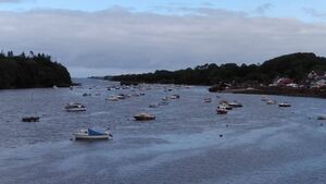 Councillor claims fishing in Ballina is 'finished' if action not taken on seal population