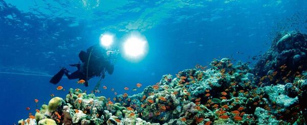 €50,000 has been awarded for the scoping the creation of Ireland’s first underwater artificial reef in Killala Bay and environmental planning costs in Killala.