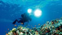 Funding secured for reef project