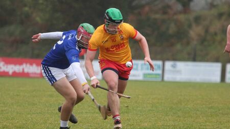 Visiting Mitchels withstand storming comeback to lift county title