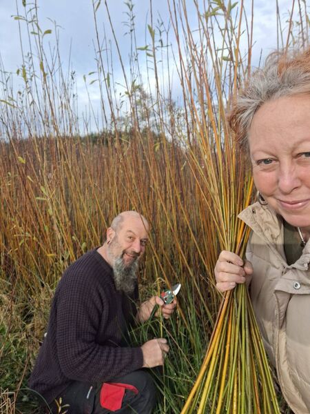 Kate and Alan Burrows harvest willows on their land in Cloonlough near Ballyhaunis. The couple make coffins and household items from the willows. 
