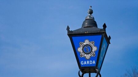 Man arrested as €56k worth of drugs seized