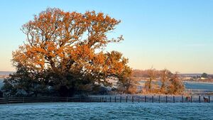 Temperatures in Mayo set to plummet later this week