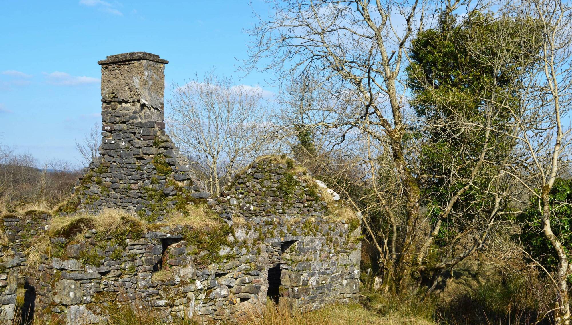 The romance and reality of derelict cottages in the West of Ireland - opinion - Vimarsana News