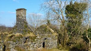 The romance and reality of derelict cottages in the West of Ireland