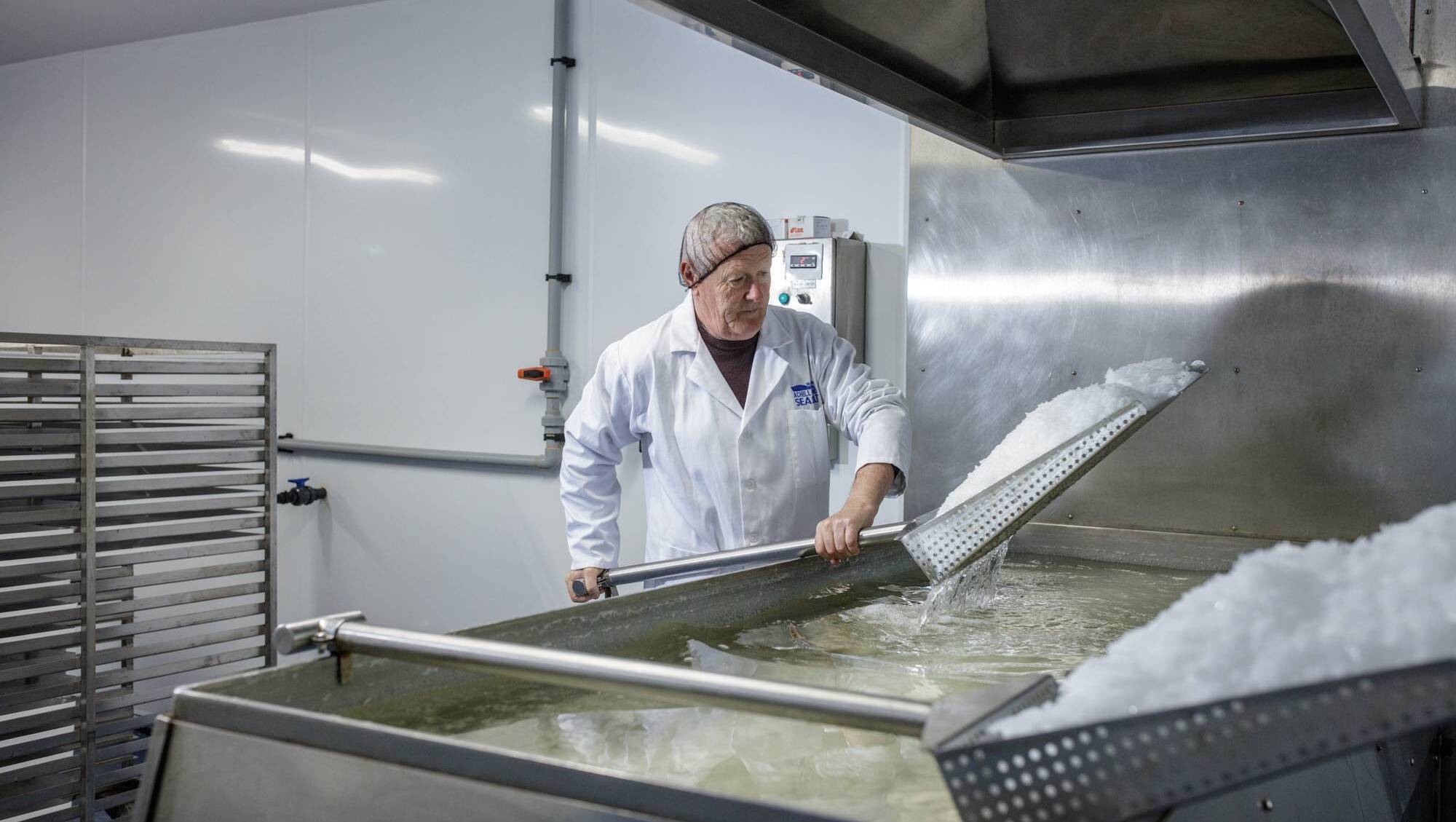 Sweet taste of success for Mayo sea salt firm - news - Vimarsana News