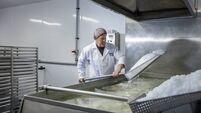 Sweet taste of success for Mayo sea salt firm 