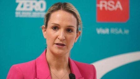 Poll shows increased support for McEntee following Dublin riots