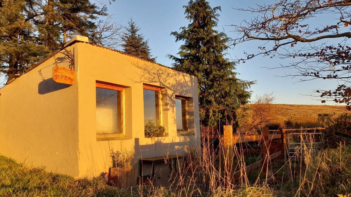 The Poultry Station – Helping to build a better Ireland