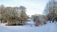Christmas events at Turlough Park 