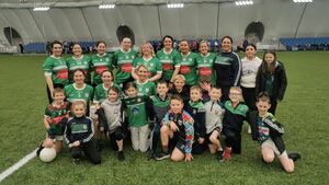 Local Notes: Charlestown Sarsfields Mothers & Others take part in blitz