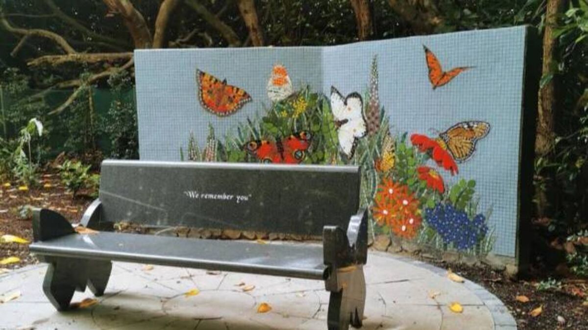 Swinford Butterfly Garden is hailed as a 'fabulous project'