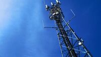 New masts have not improved telephone coverage, says councillor