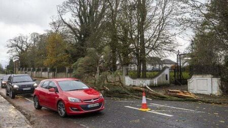 Storm Elin: Drivers asked to exercise caution and allow for greater braking distance