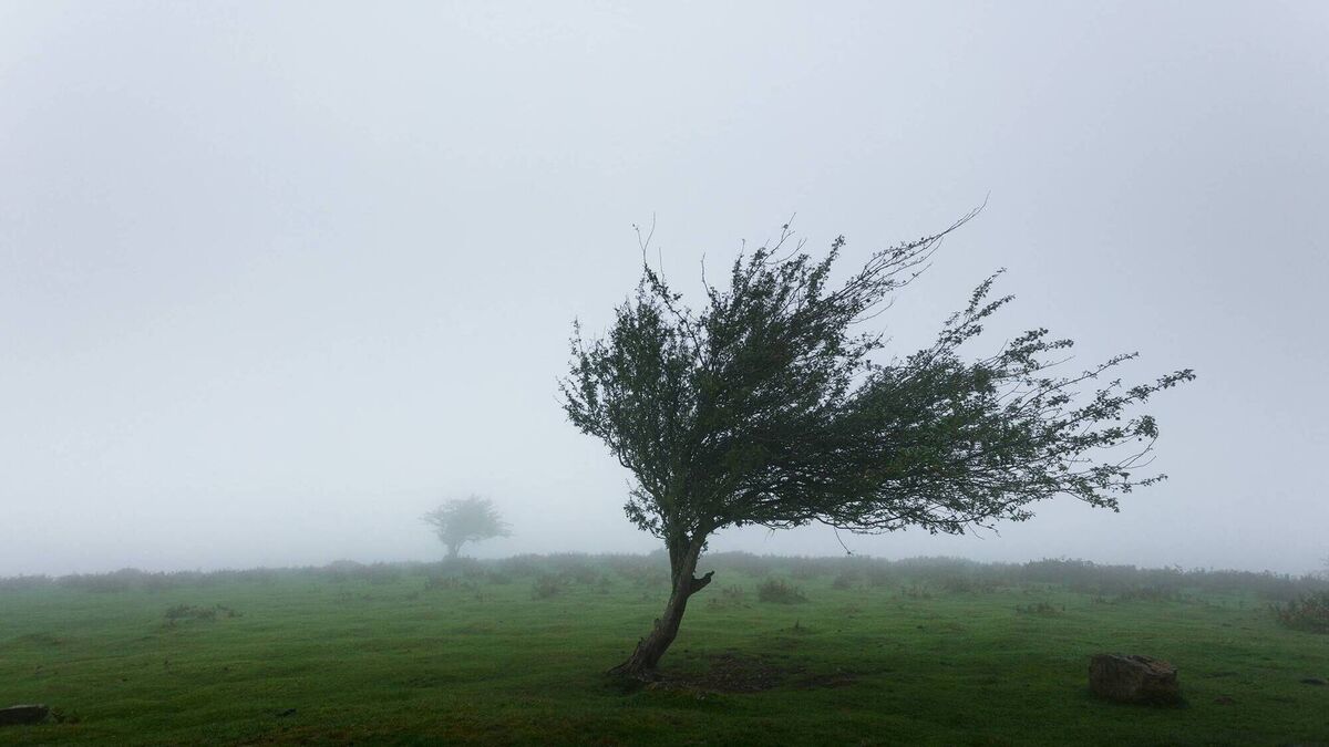 Orange weather warning for West of Ireland