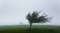 Orange weather warning for West of Ireland