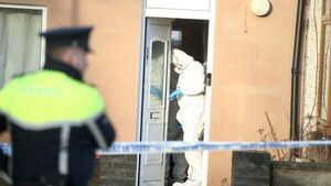 Man killed in Tallaght stabbing named locally