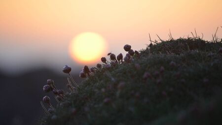 December: Dark for some, hopeful for others