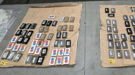 Man to appear in court over seizure of cocaine hidden in frozen meat products